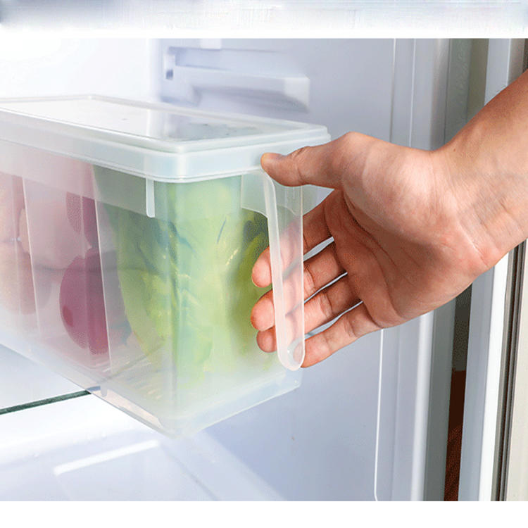 3-Compartment Fresh-Keeping Box with Handle - Versatile Food Storage Solution