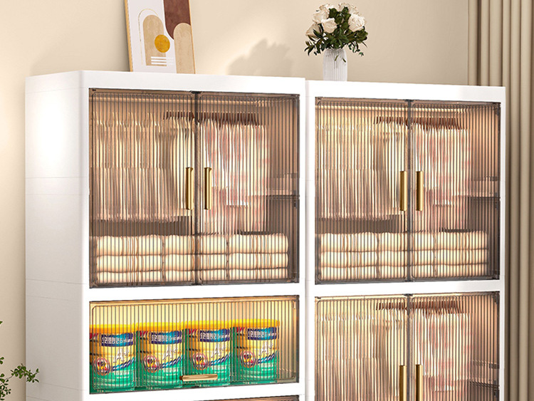 Contemporary Home Organization: Transparent Double-Door Multilayer Storage Cabinet