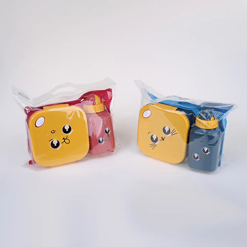 Square Cartoon Lunch Box and Water Bottle Set