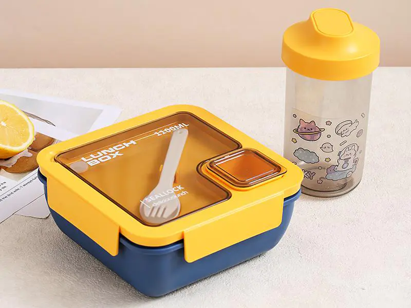 Portable plastic compartment student lunch box
