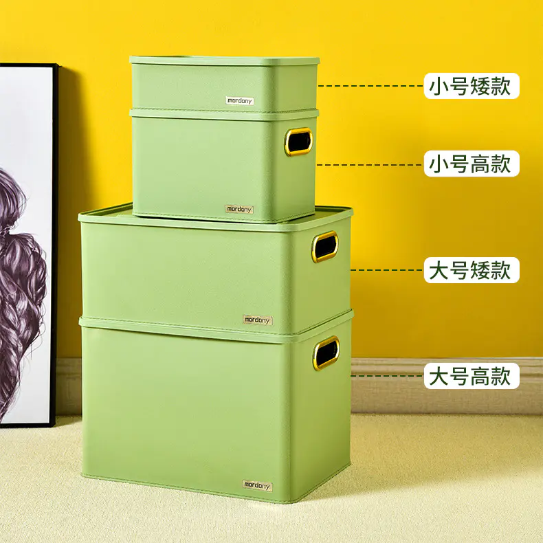 Japanese Style Plastic Sorting Box, Colorful Storage Box